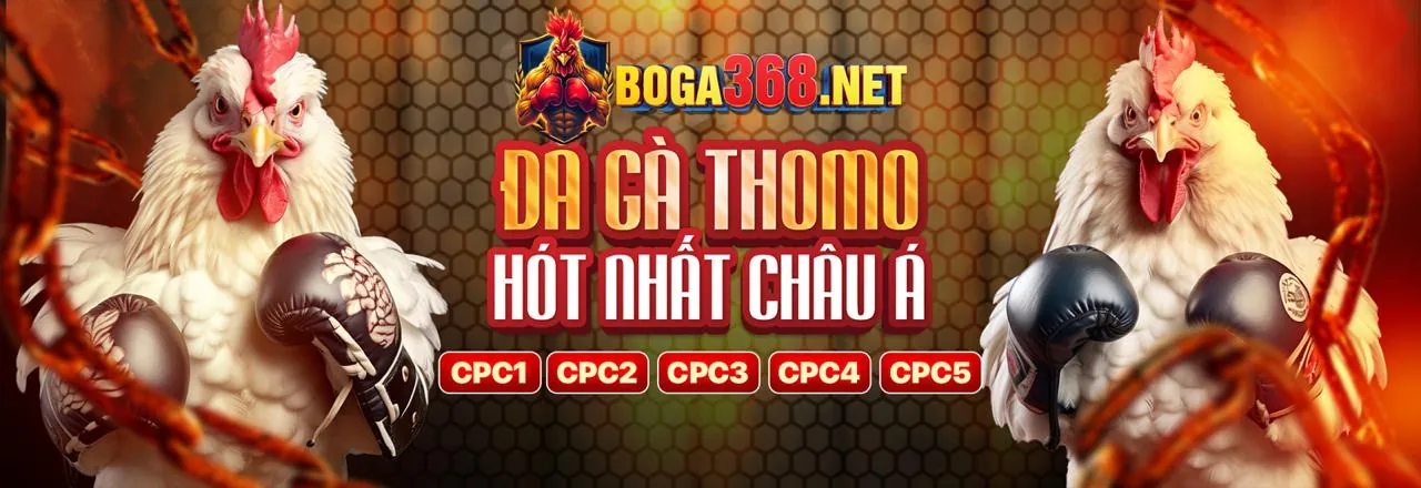 Đá Gà Trực Tuyến Q388
